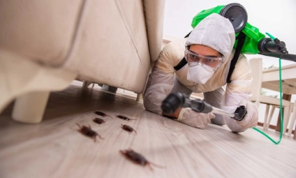 Pest Control Services